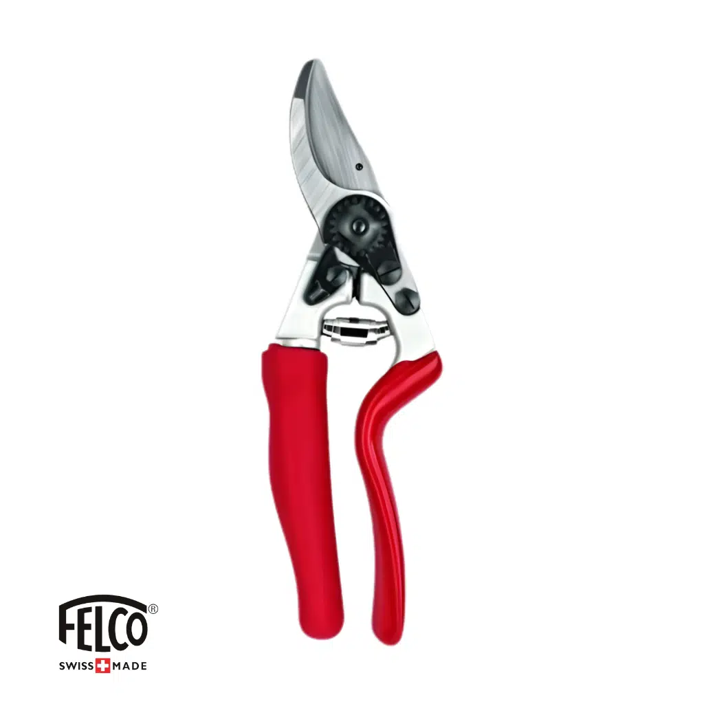 BUDAMA MAKASI FELCO 7